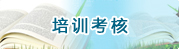 ѵ